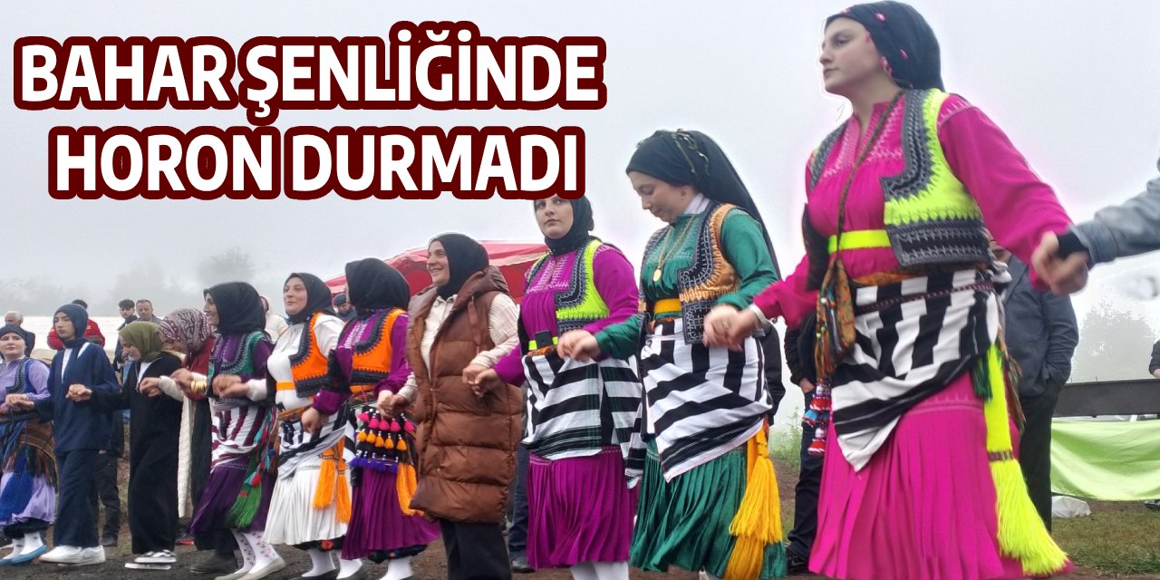 Erikli'de Bahar Şenliği