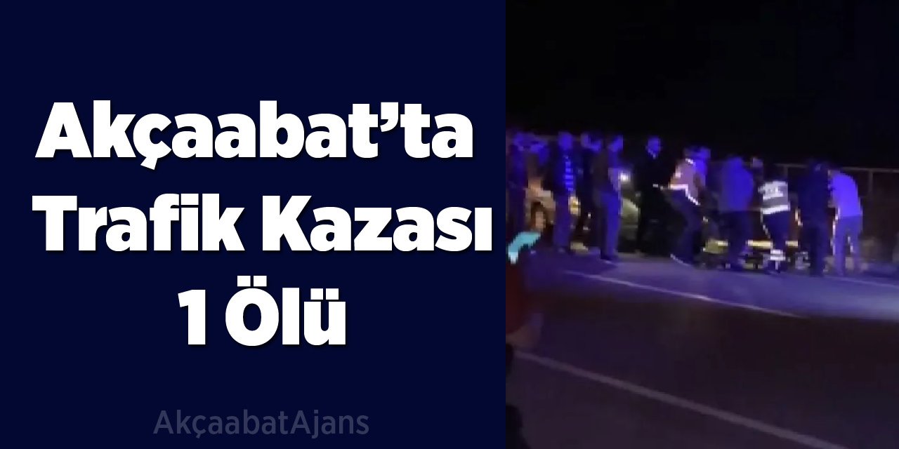 Otomobilin Çarptığı Yaya Öldü