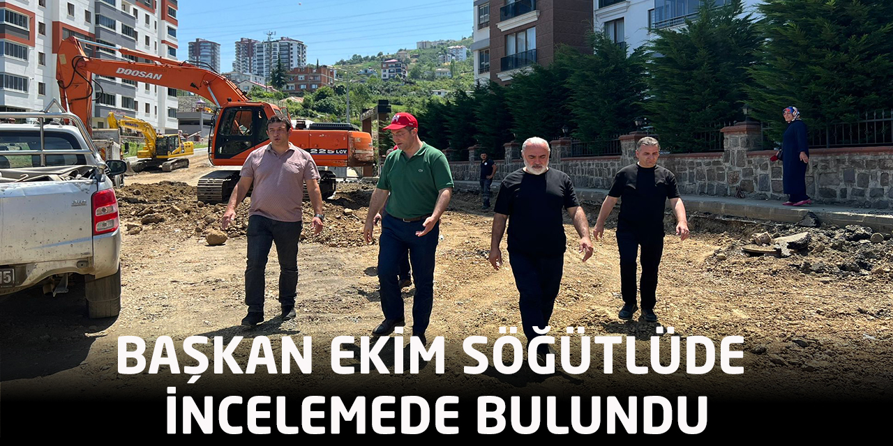 BAŞKAN EKİM'DEN SÖĞÜTLÜ'YE İNCELEME