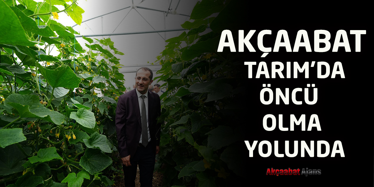 Akçaabat tarımda örnek olmaya devam ediyor