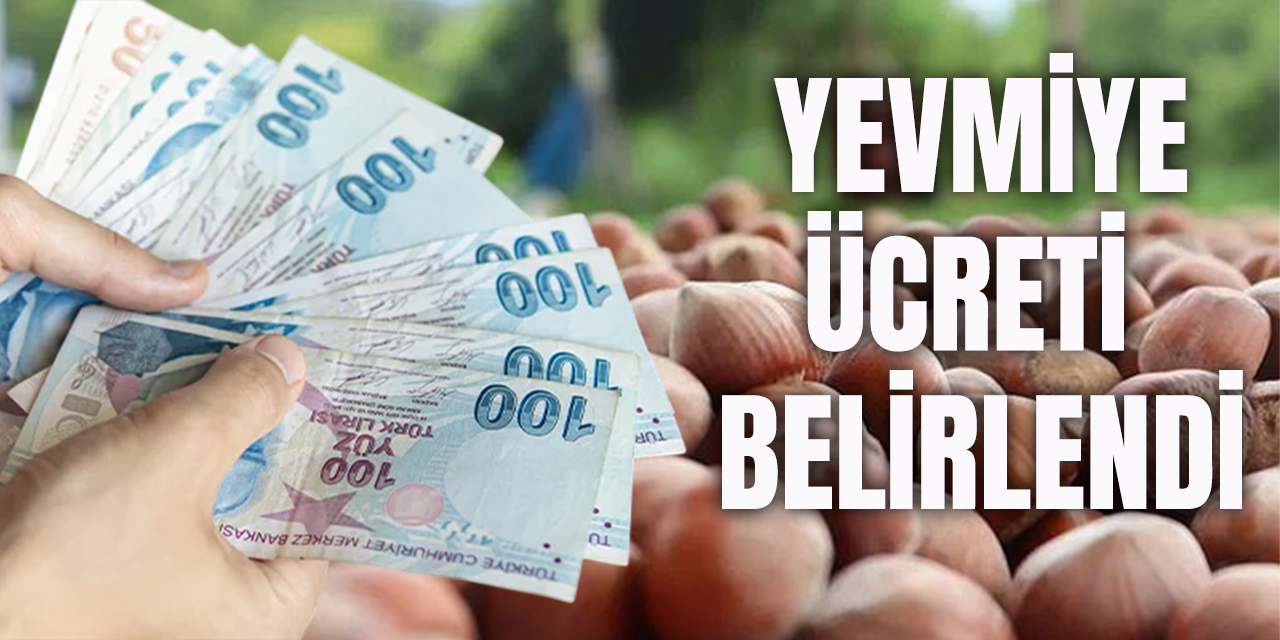 Fındık Yevmiye Ücreti Belirlendi