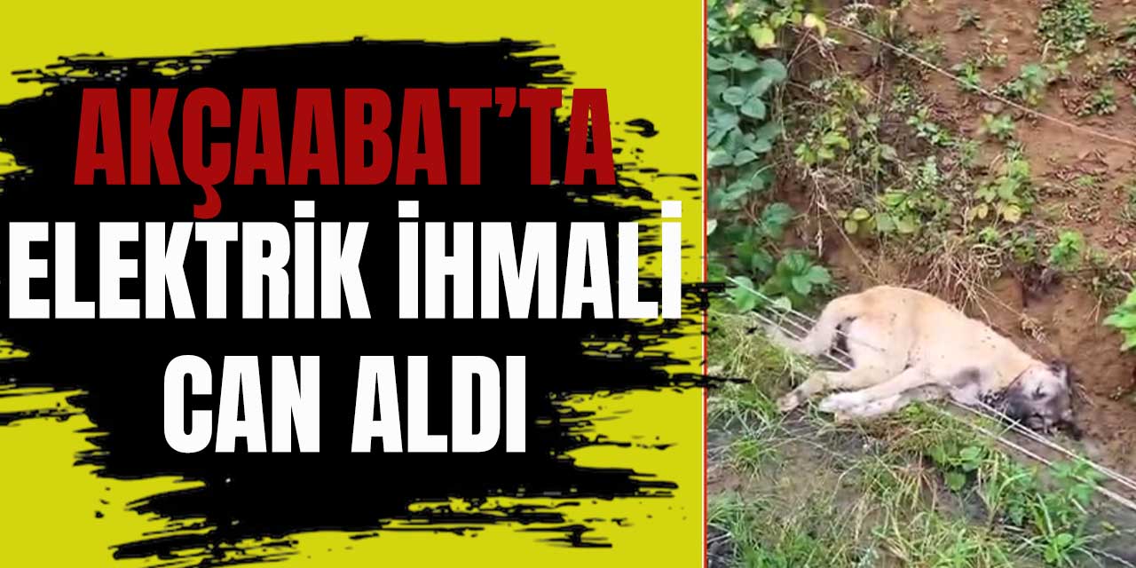Akçaabat'ta Elektrik Teli İhmali Can Aldı