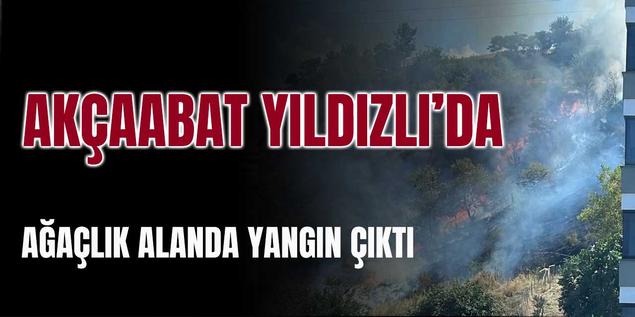 Yıldızlı’da Orman Yangını Panik Yarattı