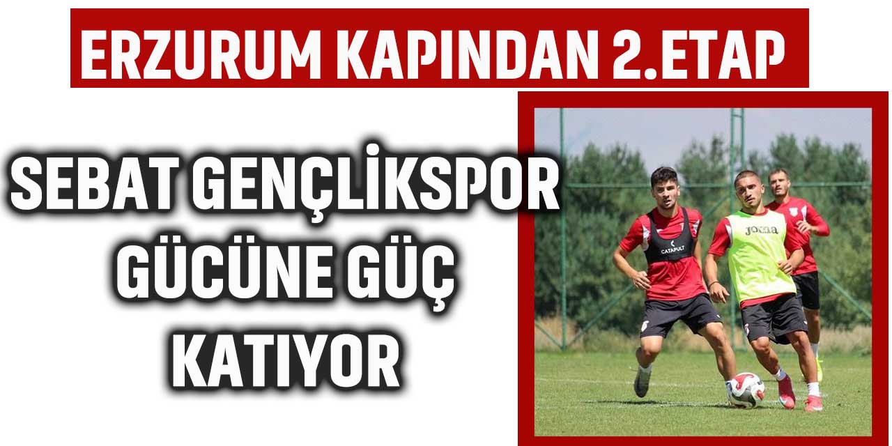 Erzurum Kampında 2. Etap