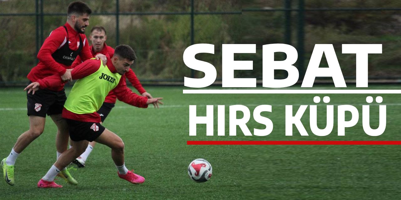 Sebat Hırs Küpü