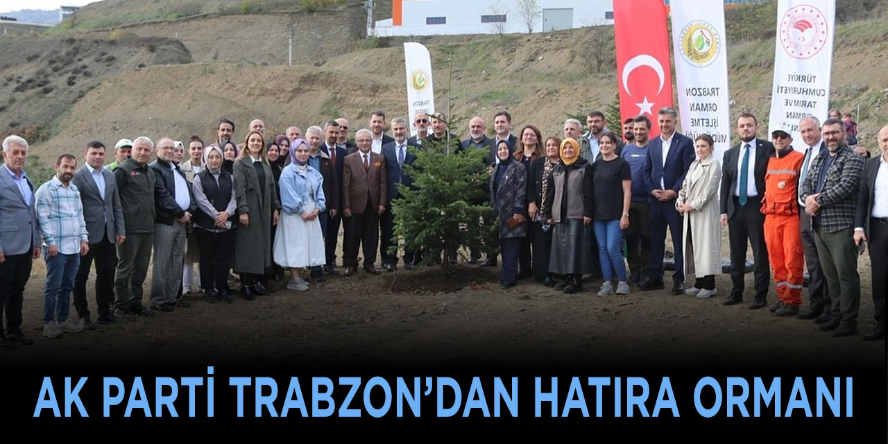 AK Parti Trabzon'dan Hatıra Ormanı
