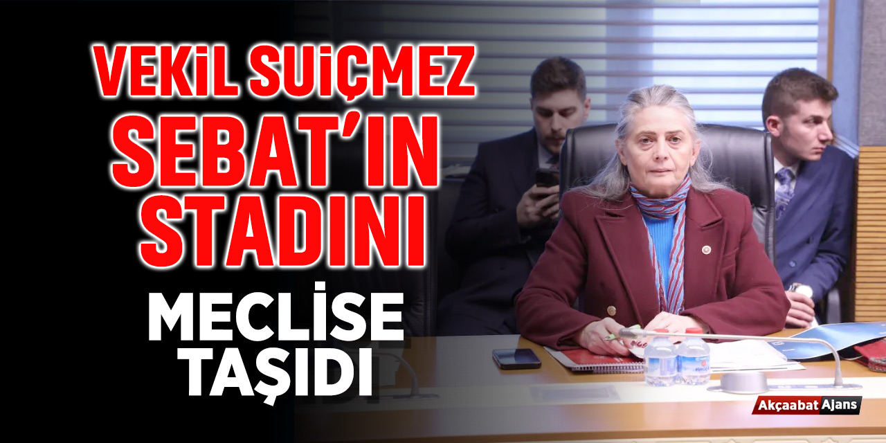 Sebat'ın Stadyum Sorunu TBMM'de