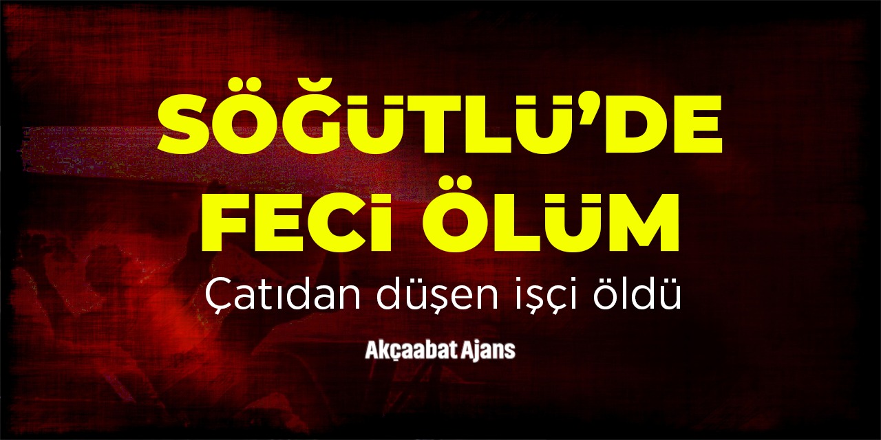 Söğütlü'de Feci Ölüm