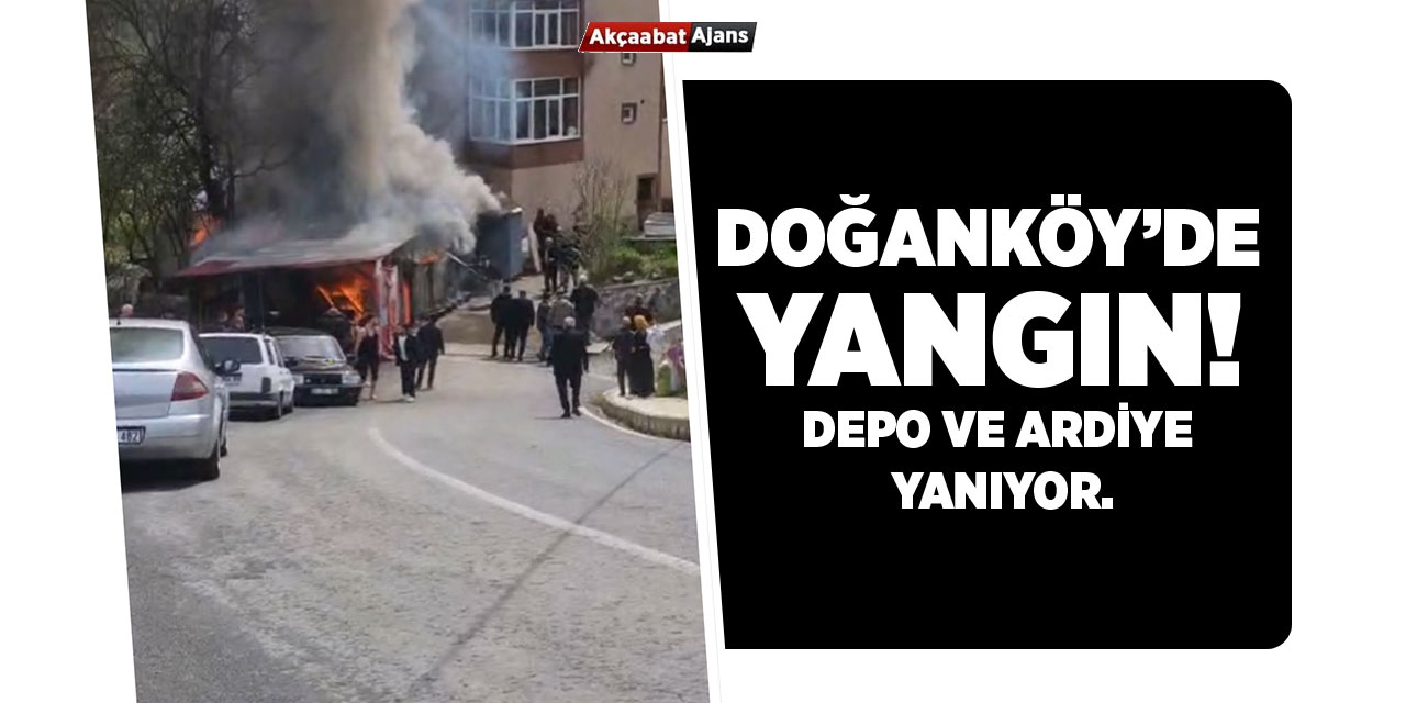 Doğanköy'de Yangın