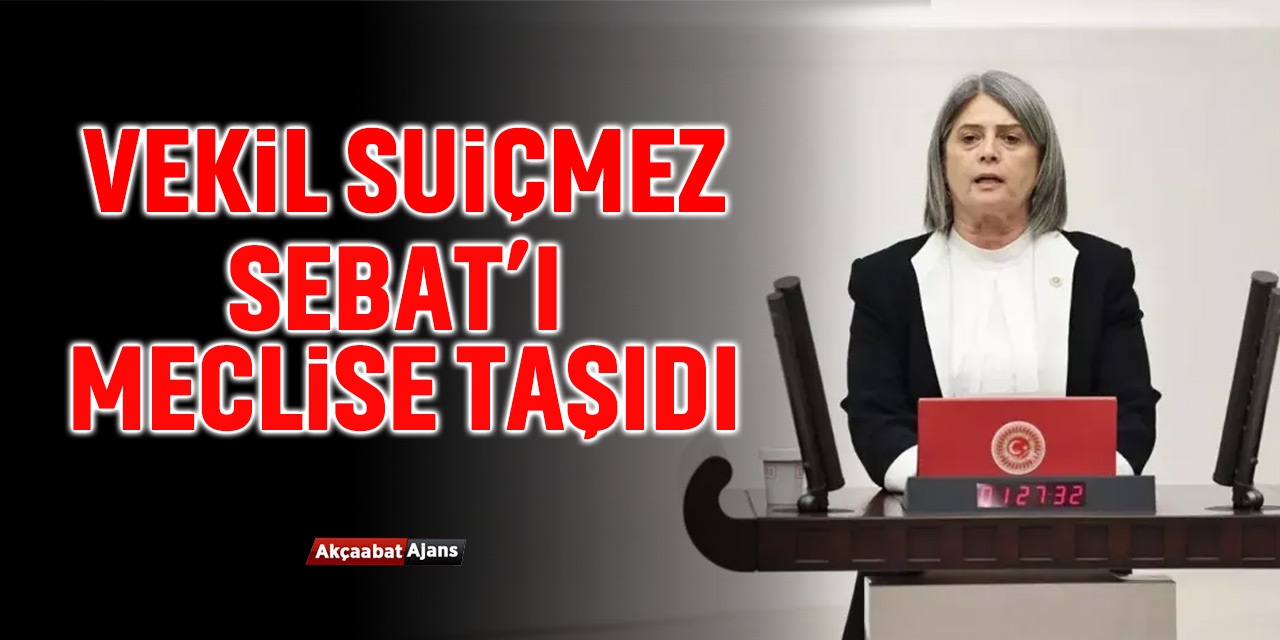 Suiçmez Sebat'ı TBMM'e Taşıdı