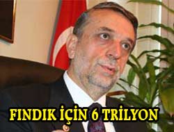 Fındık Üreticisine Müjde