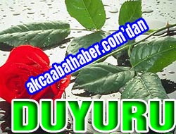 Sitemizden Dev Hizmet