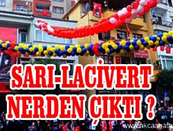 Tören Alanı Sarı-Lacivert