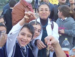 Söğütlü İlköğretimde Hamsi Şöleni