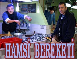 Hamsi tavuk fiyatlarını vurdu