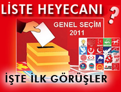 Siyasi Partilerin Görüşleri