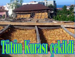 Tütün Alım Kur'ası Çekildi