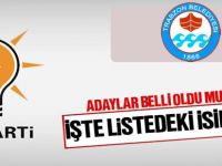 AK Parti'nin Büyükşehir Belediye Meclisi için İlçe Seçim Kurulu'na verdiği liste büyük oranda belli oldu.