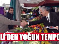 Gedikli Yoğun Tempo İle Çalışıyor