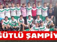 Şampiyon Söğütlüspor