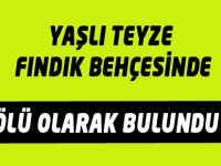 Akçaabat'ta bir kişi fındık bahçesinde ölü olarak bulundu.