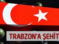 Hakkari'de şehidin acısı Trabzon'a düştü