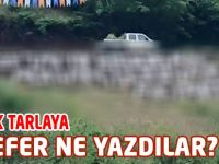 Fanatik Tarlaya Bu Sefer Ne Yazdılar?