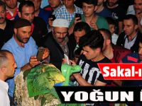 Sakal-ı Şerif'e Yoğun İlgi