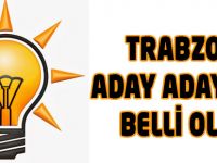 AK Parti’de aday adayları belli oldu