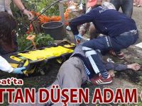 4. Kattan Düşerek Öldü
