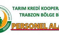Tarım Kredi Kooperatifleri personel alacak.