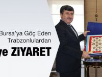 Valiye Ziyaret