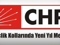 CHP Gençlik Kolları'ndan Yeni Yıl Mesajı