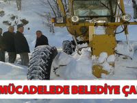 Karla Mücadelede Belediye Çalışıyor