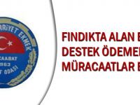 Fındıkta Alan Bazlı Destek İçin Müracaatlar