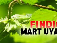 TTB’den fındık üreticilerine Mart uyarısı..
