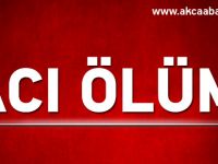 Geri Manevra Yaparken Anneannesini Ezdi