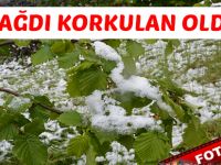 Kar Yağdı Fındık Dondu