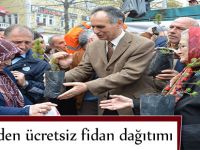 Belediyeden Ücretsiz Fidan Dağıtımı