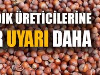 Fındık Üreticilerine Uyarı