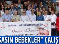 Bebekler Ölmesin Çalıştayı