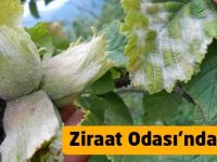 Ziraat Odası'ndan Uyarı