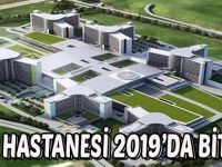 2019'da Bitecek