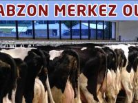 Trabzon da merkez oldu