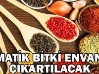 Aromatik Bitki Envanteri Çıkatılacak