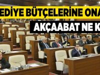 Belediyelerin 2019 yılı bütçeleri karara bağlandı