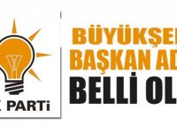 AK Parti'de Trabzon Büyükşehir Adayı Belli Gibi