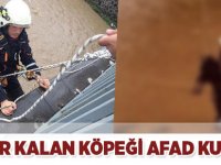 Akçaabat'ta kurtarma olayı