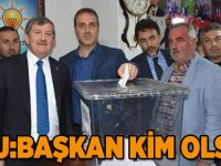 AK Parti'de Temayül Yapıldı