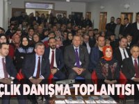 AK Gençlik Danışma Toplantısı